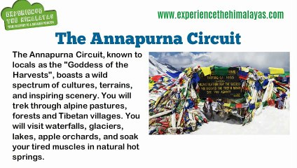 Make A Successful Plan For Annapurna Circuit Trek With Experience The Himalayas