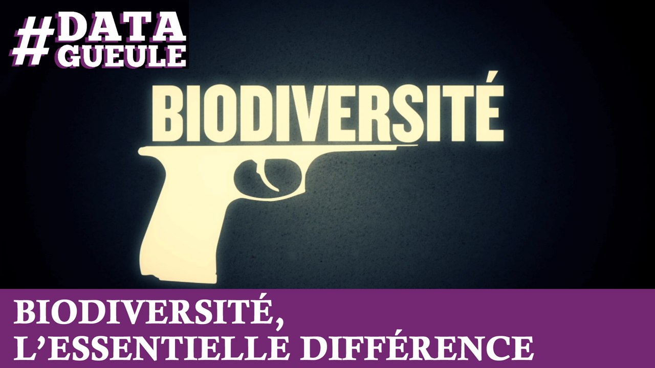 Biodiversité, l'essentielle différence #DATAGUEULE 24