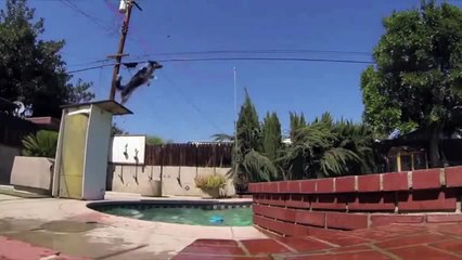 Böyle eğitilmiş köpek görmediniz