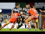 Watch Here Live Cardiff Blues vs Leicester Tigers Rugby