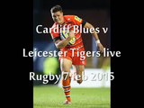 watch Cardiff Blues vs Leicester Tigers online