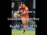 Live Streaming Cardiff Blues vs Leicester Tigers Rugby