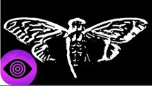 Cicada 3301: Jedna z największych tajemnic Internetu?