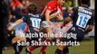 watch Sale Sharks vs Scarlets 7 feb 2015 online live