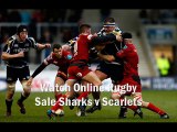 watch Sale Sharks vs Scarlets 7 feb 2015 live match