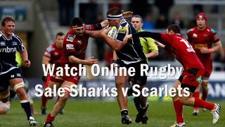 watch rugby Sale Sharks vs Scarlets 7 feb 2015 live stream
