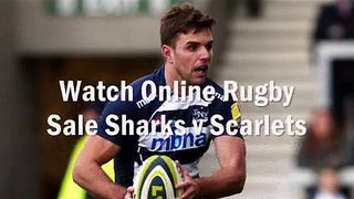 watch Sale Sharks vs Scarlets live broadcast stream