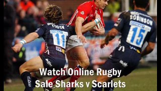 watch Sale Sharks vs Scarlets online rugby match