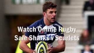 live Sale Sharks vs Scarlets on ios android