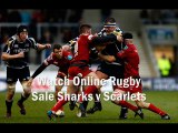 watch Sale Sharks vs Scarlets Anglo-Welsh Cup rugby live