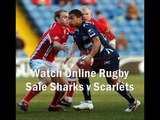 watch here Sale Sharks vs Scarlets stream hd