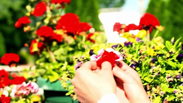 Dejan Matic - Ona je moja