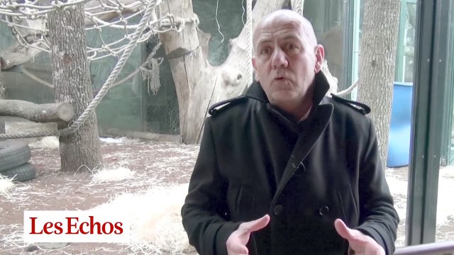 Dans les coulisses de... la Ménagerie du Jardin des Plantes