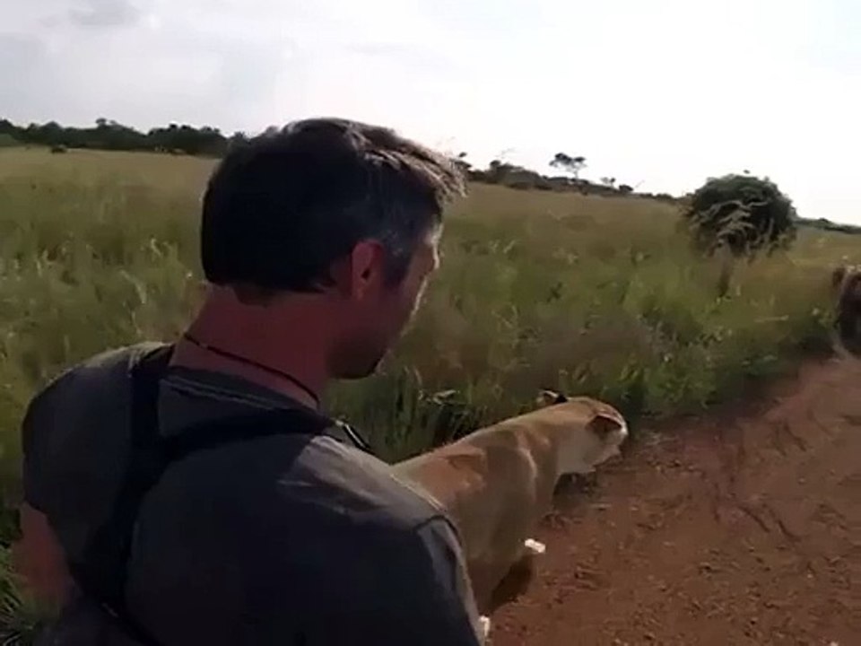 Hello Big Boy!