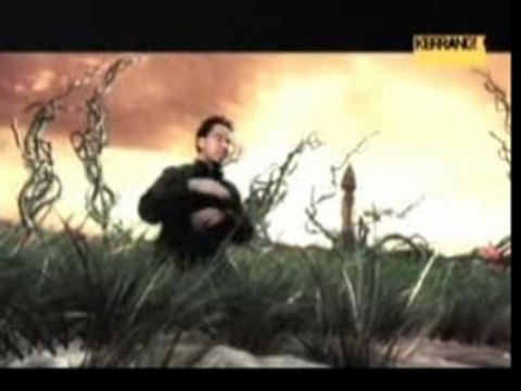 Linking Park - In the end