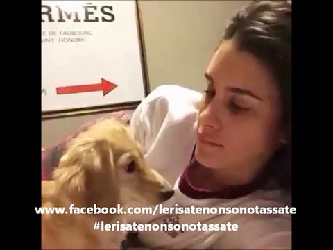 Quando la padrona urla al cane in modo isterico.