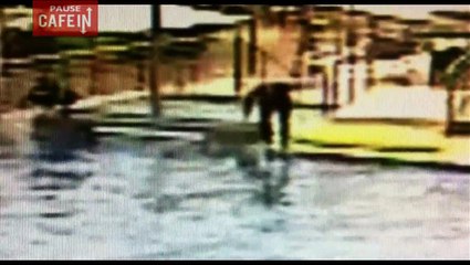 Ce dresseur de Marineland maltraite des dauphins