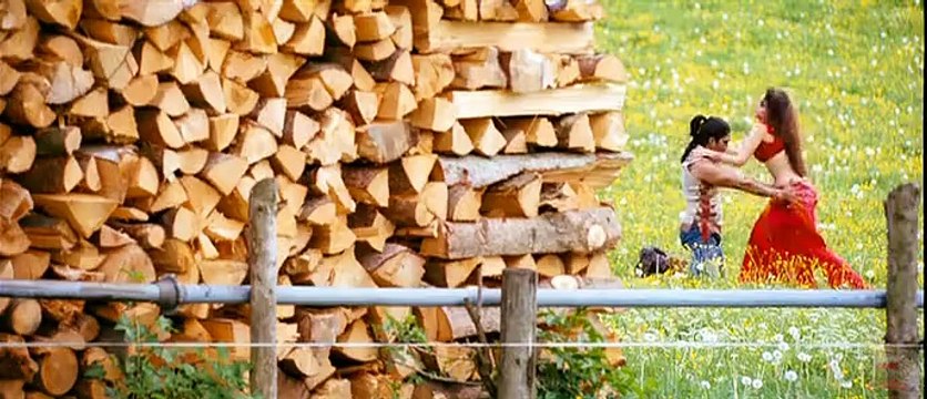 Allu Arjun & Tamanna Hot Romance From Badrinath Malayalam Film