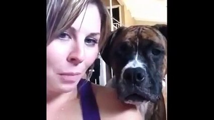 This Dog Does Not Care For Your Selfies!