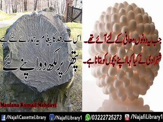 Jab Ye Dono Maafi k liye Aae !! Maulana Kumail Mehdavi