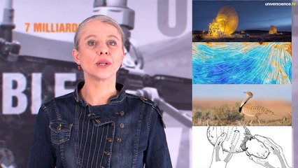 Démenti sur les premiers instants de l'Univers