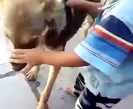 ‫چکوال مینڈاگھر - ایک بار دیکھیں بار بار دیکھیں گے اور گارنٹی سے‬ wonder full video you haven't seen before hahah