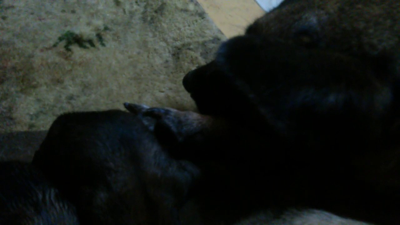 Be Aware H's @ Hello World!