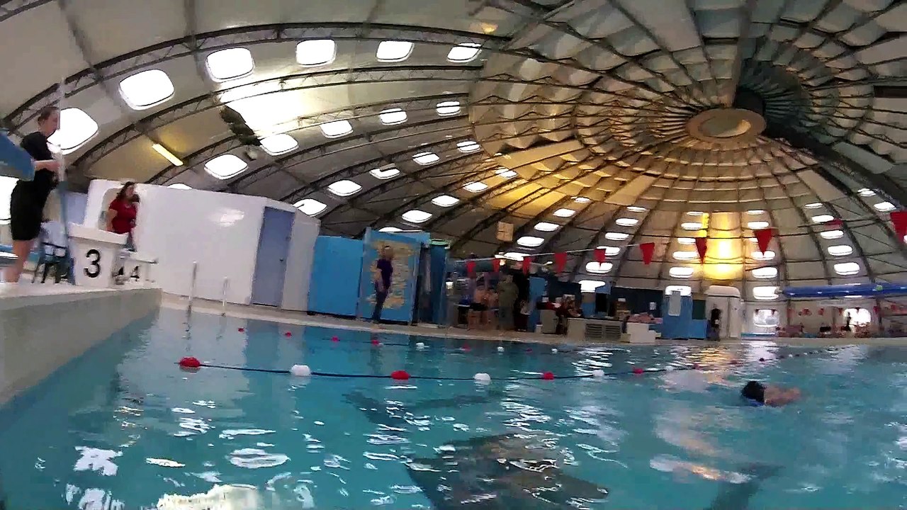 Téléthon 2014 50m Dos Filles (3)