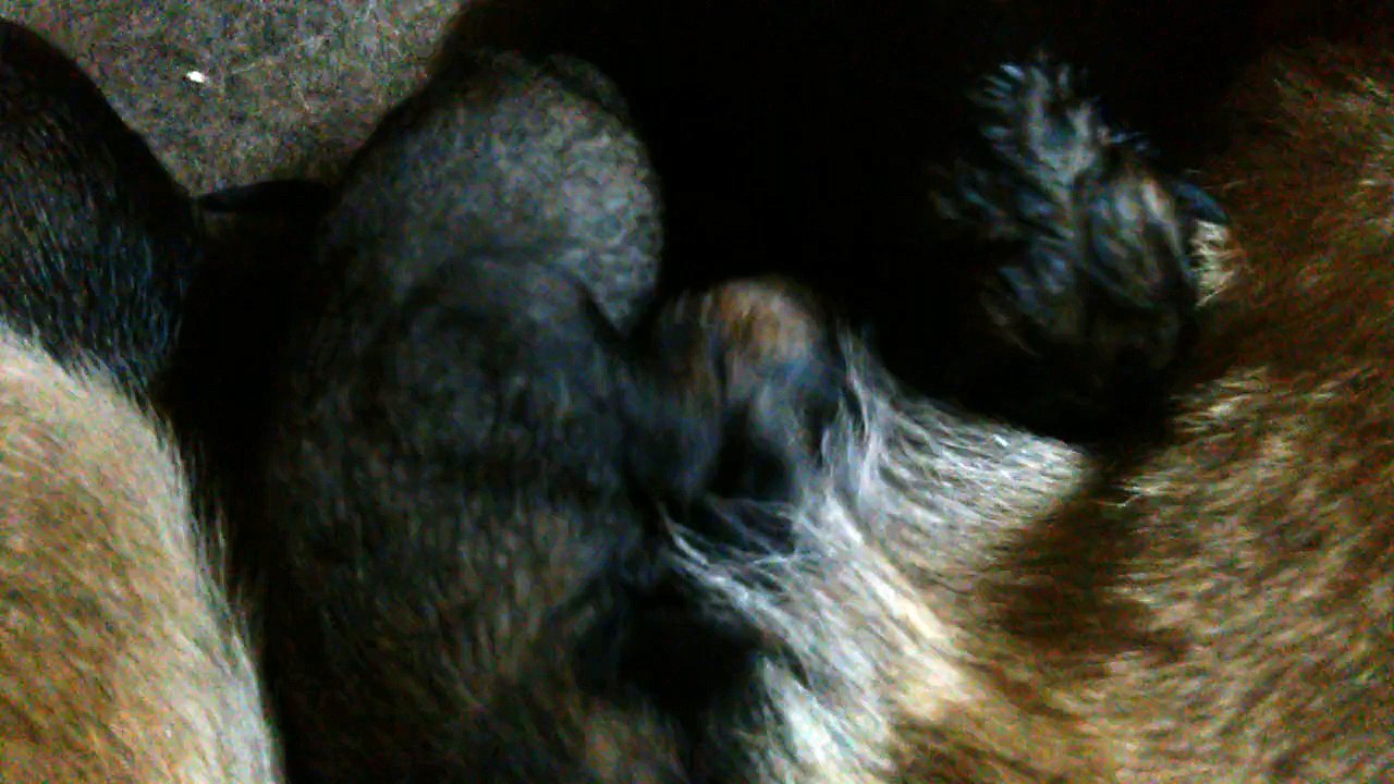 Be Aware H's @ Milchbar / Milk bar