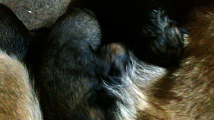 Be Aware H's @ Milchbar / Milk bar