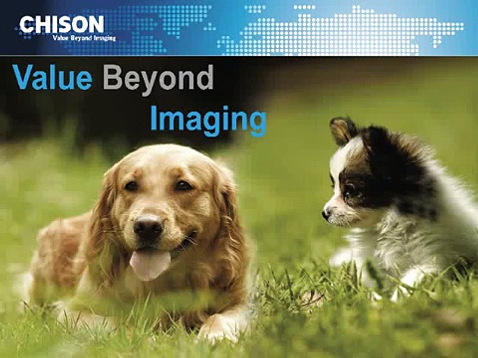 Chison 8300 VET Large animal ultrasound-Bovine equine Short presentation