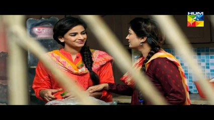 Digest Writer Episode 19 Part 1 HUM TV Drama Feb 07, 2015