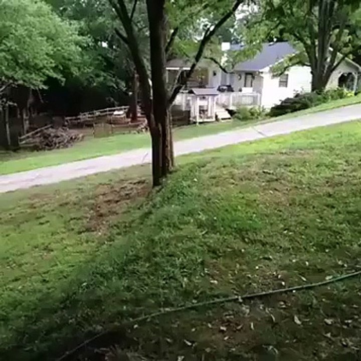 Best video ever