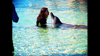 Swimming with dolphins - Atlantis, Palm Jumeirah