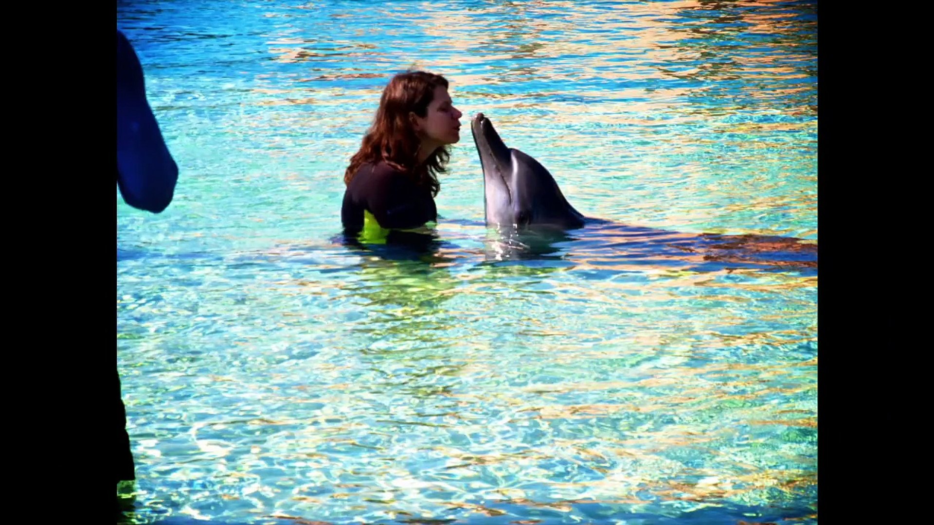 ⁣Swimming with dolphins - Atlantis, Palm Jumeirah