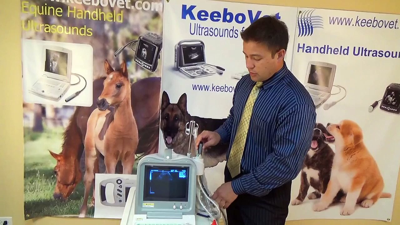 Most affordable Equine,Horse ultrasound KX2600- Only $1999