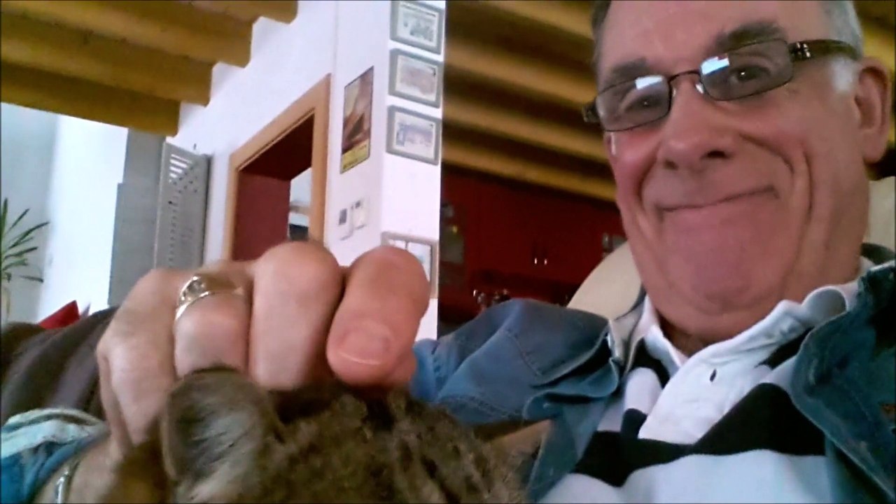 ah nos chats!!