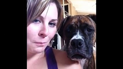 This dog does not care for your selfies!