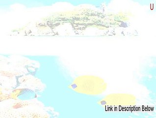 U.R.Celeb Key Gen (Legit Download 2015)