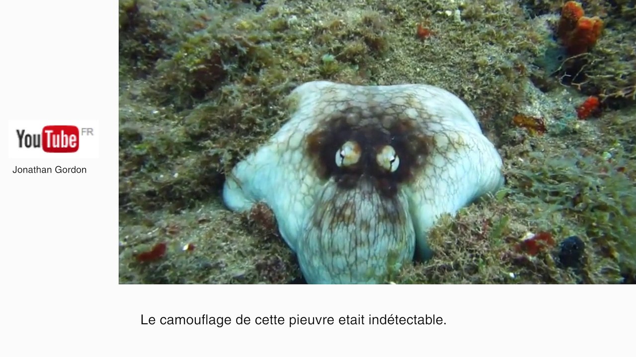 Sans marche arrière, il fait reculer son 4x4 - Le Zapping insolite