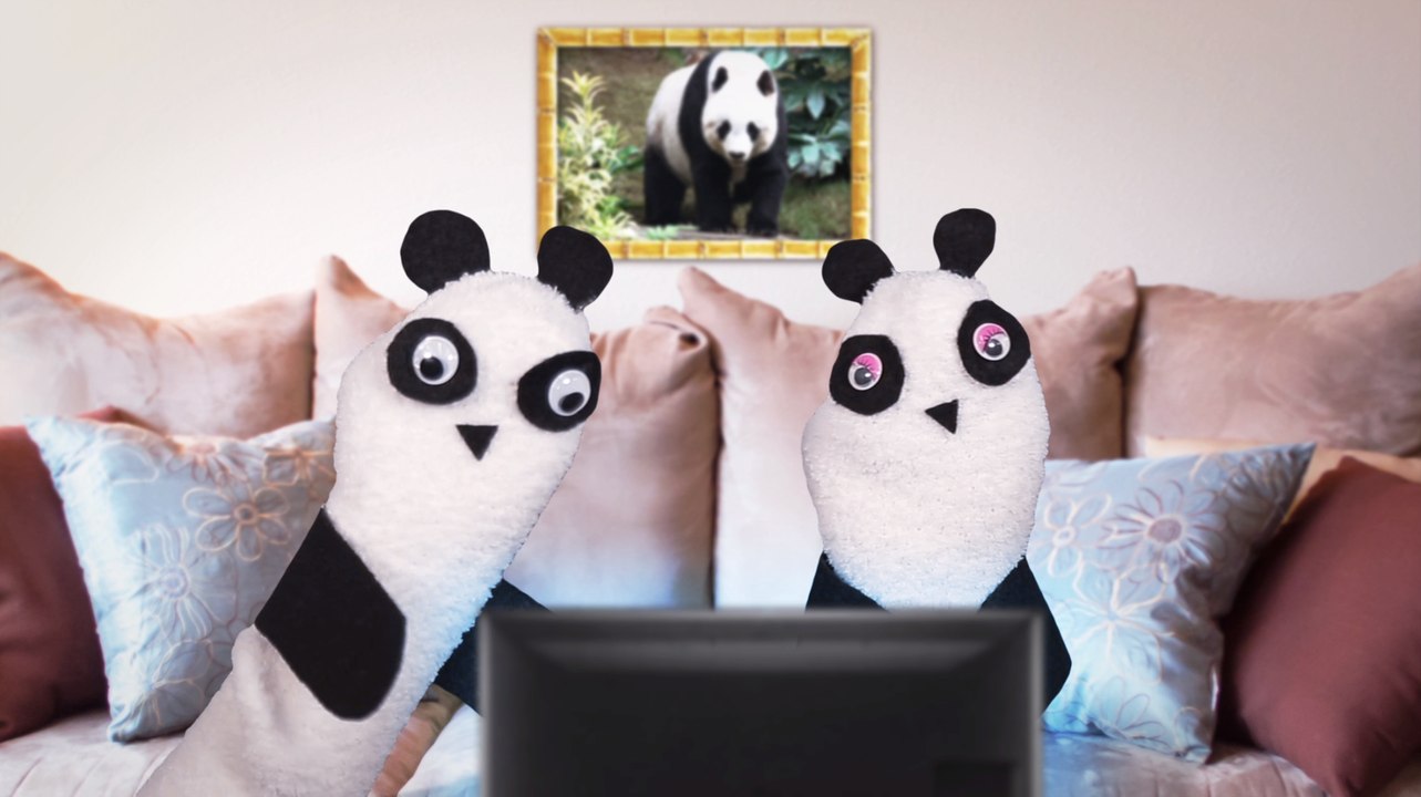 Animal Sex Facts with Sock Puppets