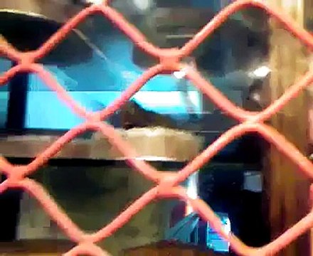 VID-20150206-WA0055.mp4