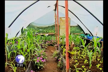 Turismo rural le permite conocer la Costa Rica más auténtica