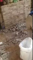 C'est pas gentil le marteau piqueur dans les fesses ...