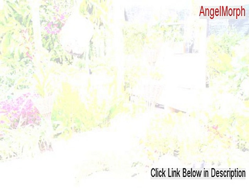 AngelMorph Full (Risk Free Download)