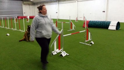 Enki entrainement agility Aix'trem