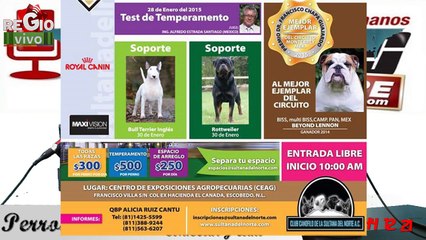 PERROS AL AIRE 24 DE ENERO DEL 2015