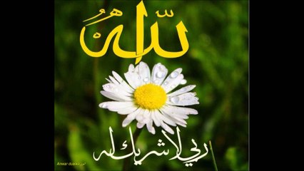 DUROOD E IBRAHIMI  AHMAD MUSTAFA