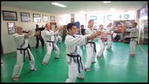 Hapkido JJK - Korea 2014