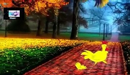 9 sonidos de aves, relajacion y meditacion